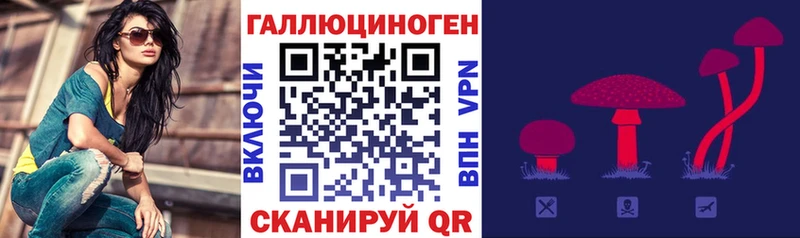 Купить где Пыть-Ях Галлюциногенные грибы мицелий